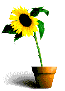 Animated Falling Sun Flowers For Blogger And WordPress ~ SEO Torch