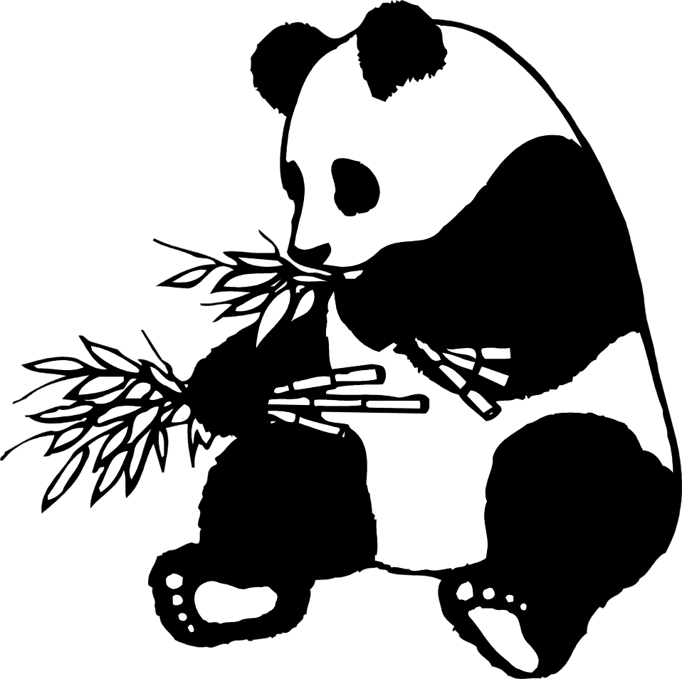 Free Stock Photo: Closeup of a panda bear