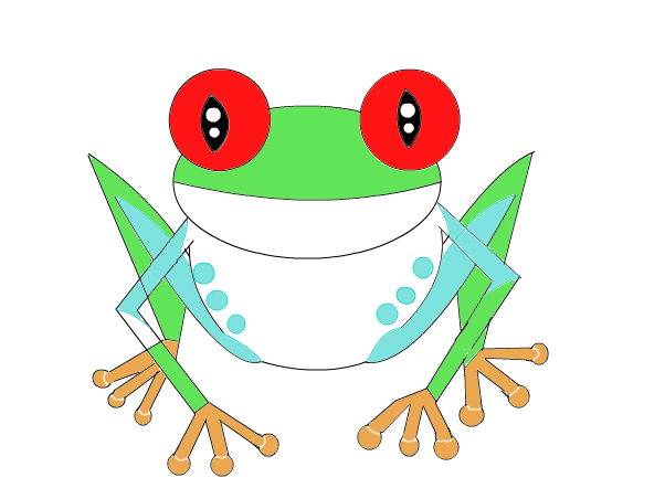 Red Eyed Tree Frog Drawings
