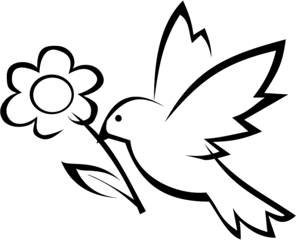 simple flower drawings easy to draw flowers - Coolage.net