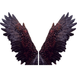 Dark Angel - Polyvore