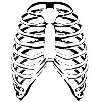 How To Draw A Cartoon Rib Cage - ClipArt Best