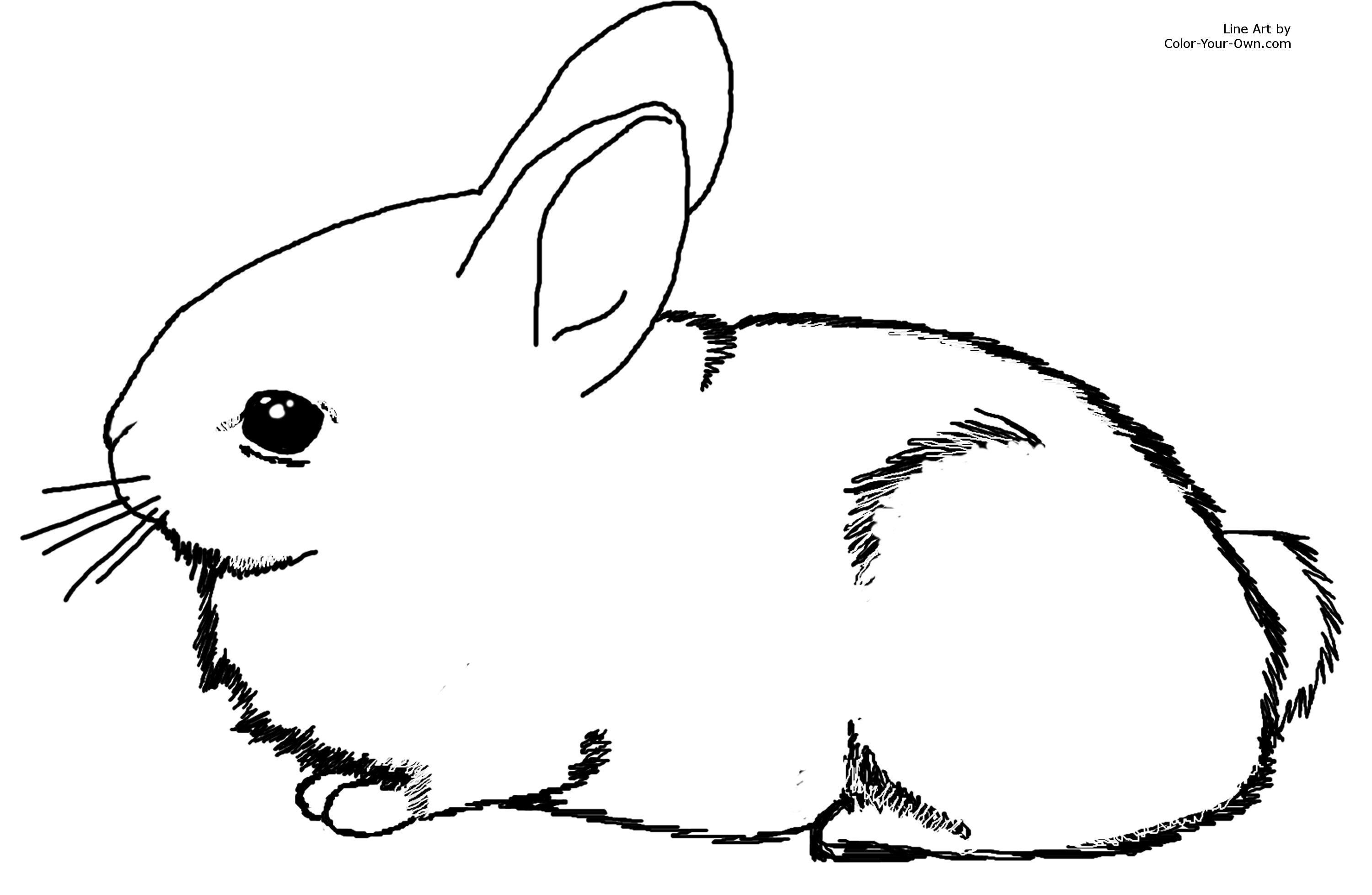 Baby Bunny Coloring Pages - AZ Coloring Pages