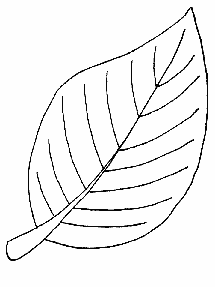 Autumn Leaf Outline