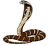 â?· Snakes: Animated Images, Gifs, Pictures & Animations - 100% FREE!
