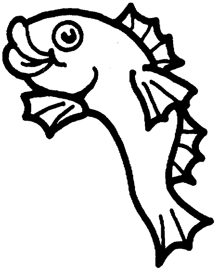 Fish Drawings Cartoon