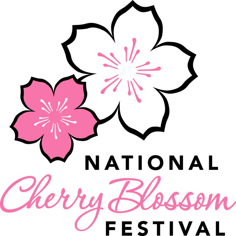 Cherry Blossom Cartoon