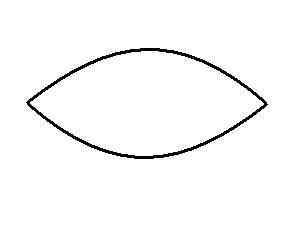 Petal Template