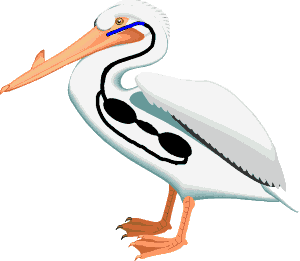 birdlung.gif