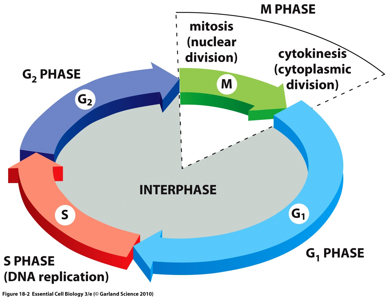 figure_18_02.jpg