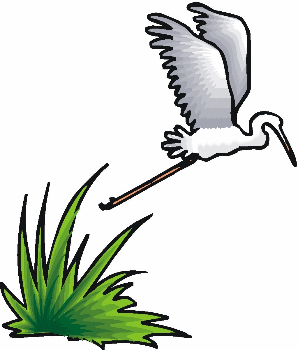 Free Heron Clipart