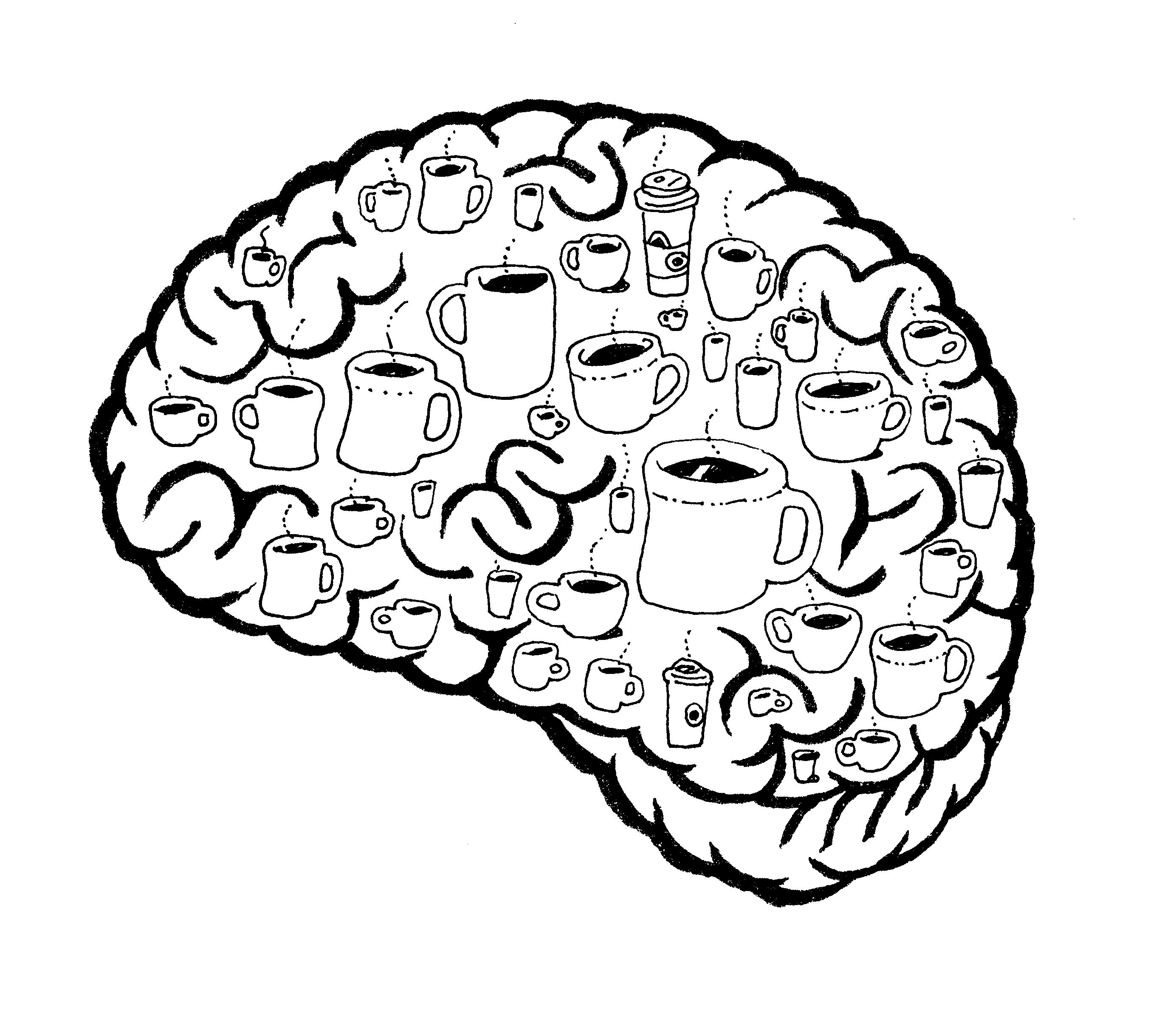 Brain Sketch - ClipArt Best