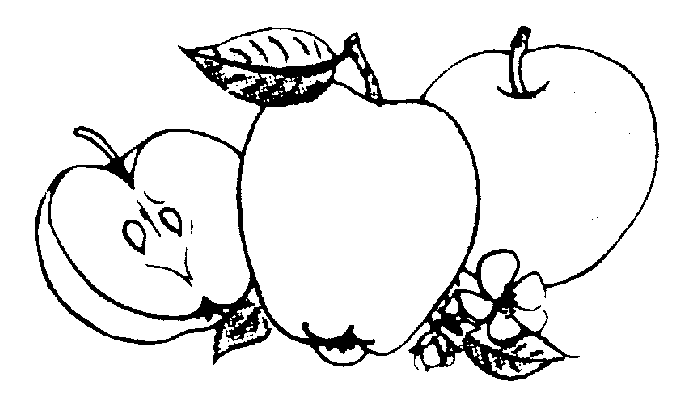 25 Fruit Clip Art Fruit Clipart 2 Best Clip Art Blog ...