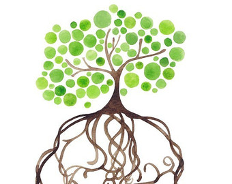 trees and roots
