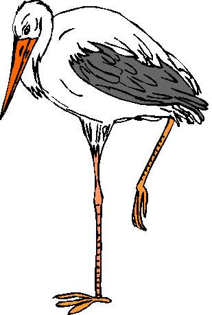 Stork Picture - ClipArt Best