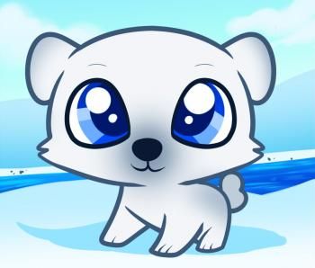 Kid, How to draw and Polar bears for kids