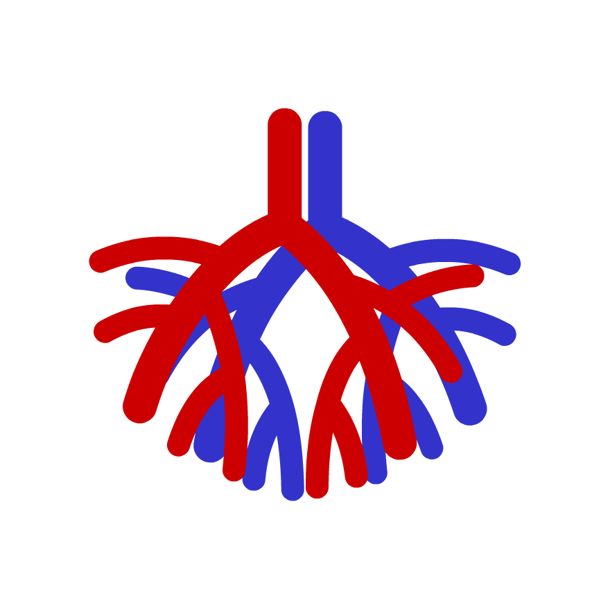 Build-A-Body: Circulatory System - GameUp - BrainPOP.