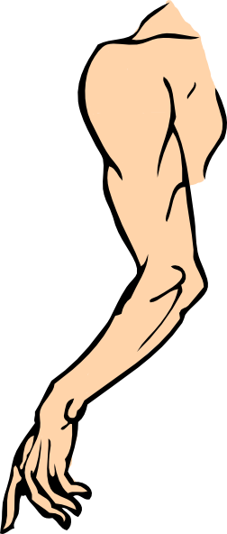 Elbow Clipart