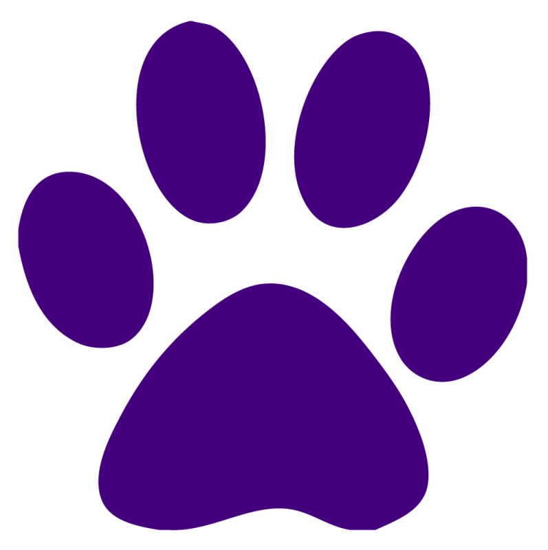 Lion paw print clipart no background