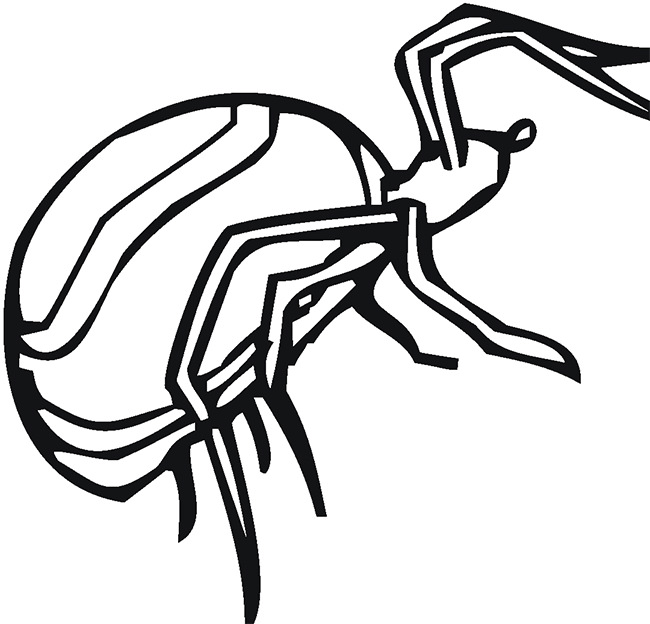 Spider Shape Template - 55+ Crafts &amp; Colouring Pages | Free ...
