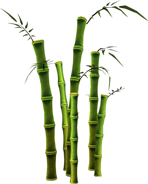 Image - Bamboo (tree).png | RuneScape Wiki | Fandom powered by Wikia