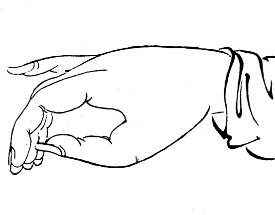 Volume 4, finger appearance