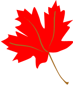 Maple Leaf Graphic