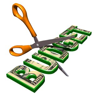 Trim the Budget Challenge