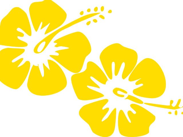Hawaiian Luau Flowers