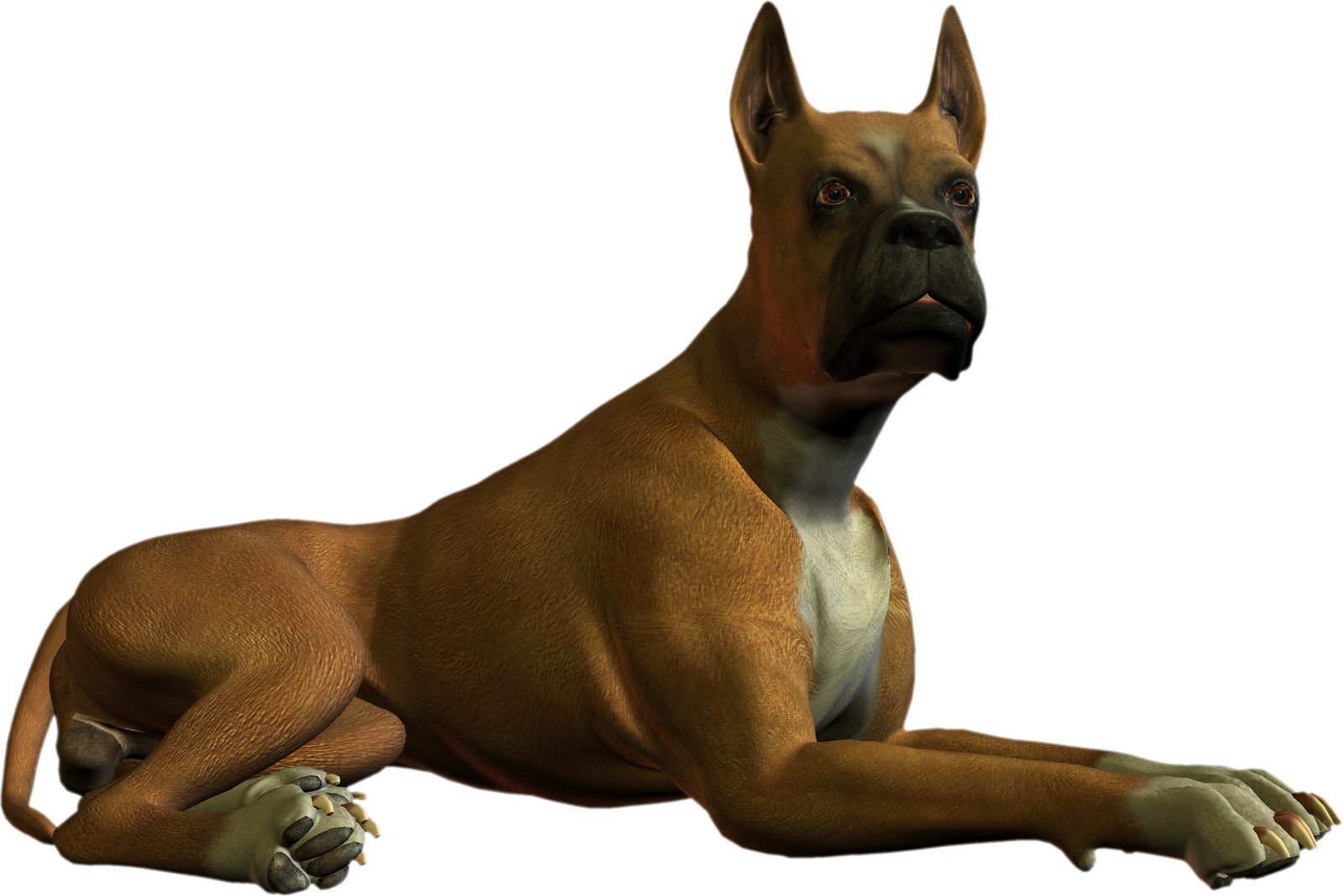 Free High Resolution graphics and clip art: dog png