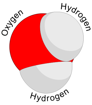 Acid-Base Disorders | Whizbang