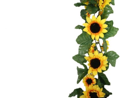 Sunflower Border - ClipArt Best