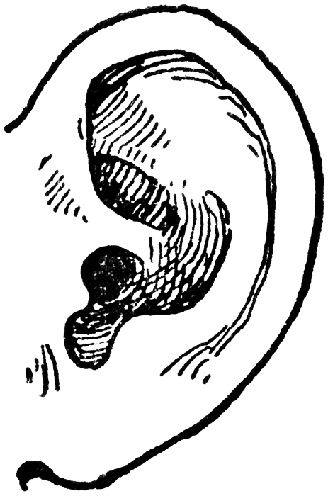 Listening Ear Clipart - Free Clipart Images