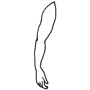 cartoon arm - Polyvore