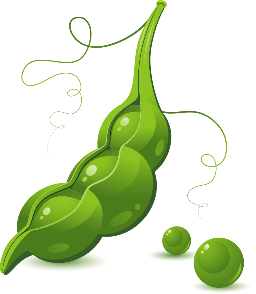 3 Ways ATS Improves Candidate Communication | Newton Software