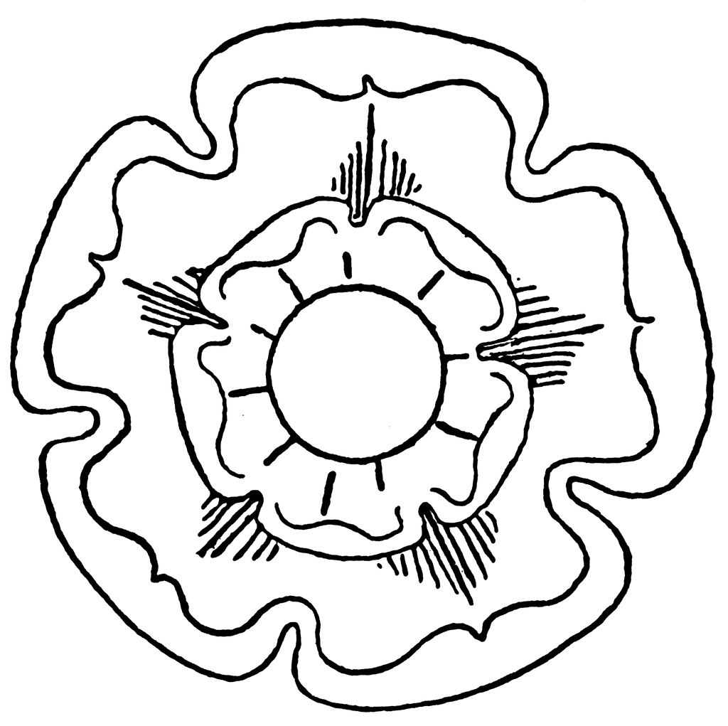 Tudor Rose | ClipArt ETC