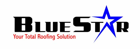 Blue Star Logo (page 2) - Pics about space