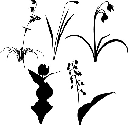 Snowdrop Clip Art, Vector Images & Illustrations