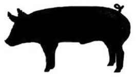 Show Pig Clipart