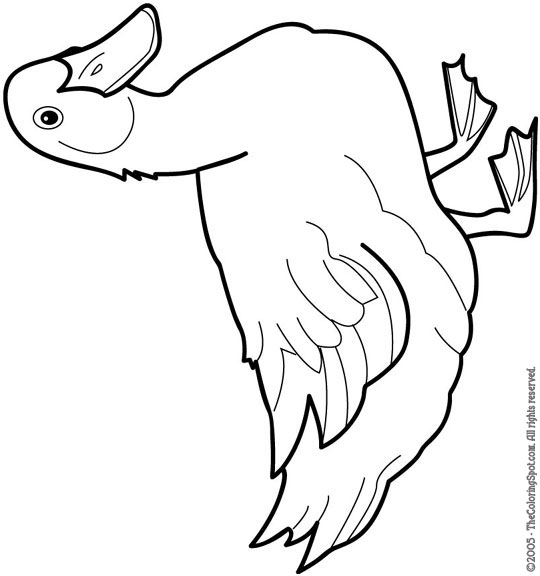 Duck Clipart Black And White - Clipart 2017