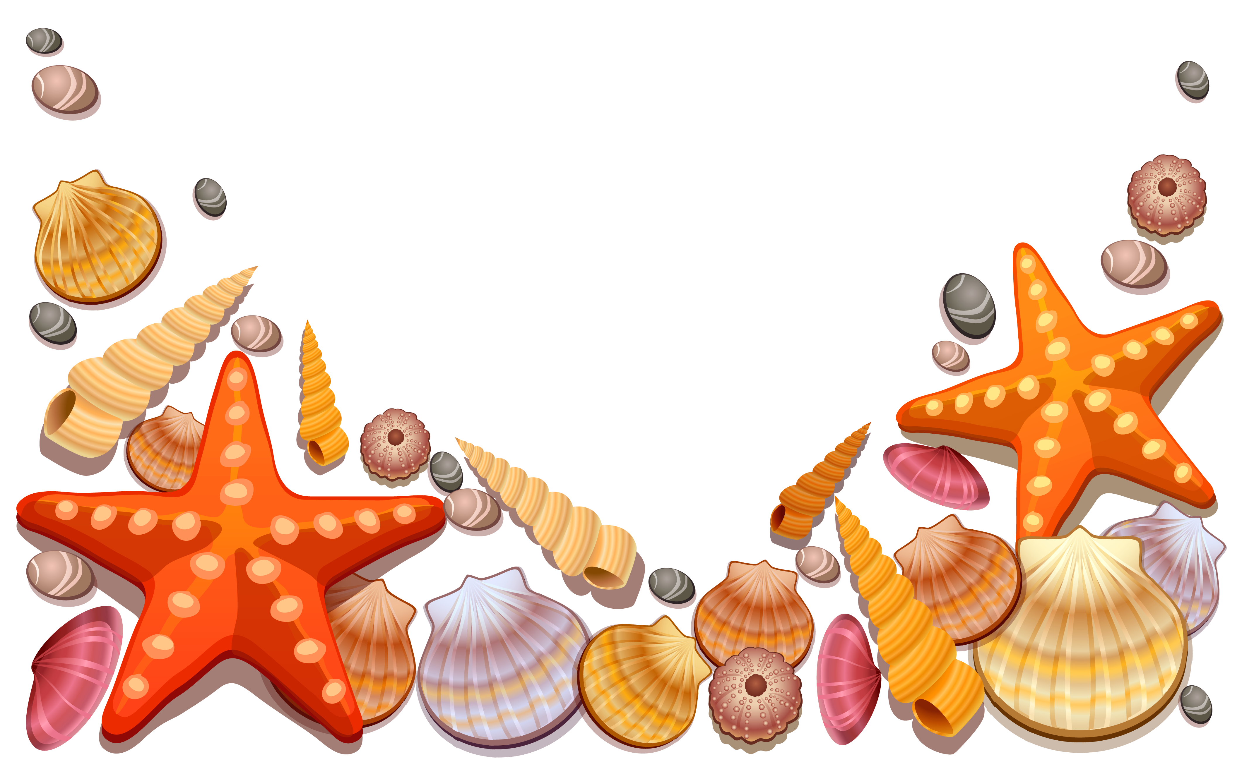 Sea Shells Decor PNG Vector Clipart