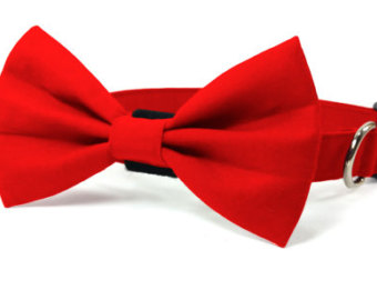 Dog bowtie | Etsy