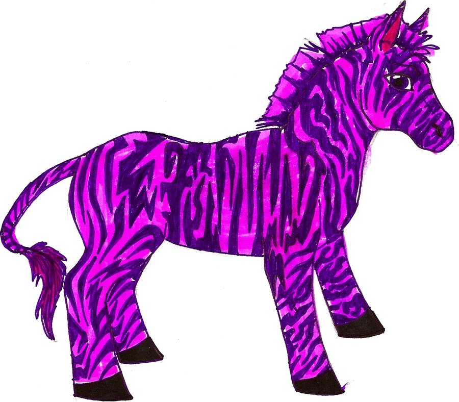 ITS A PINK-PURPLE ZEBRA by bawbkat on DeviantArt