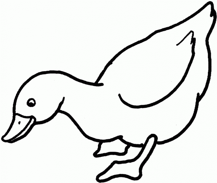 Duck Template Preschool - ClipArt Best