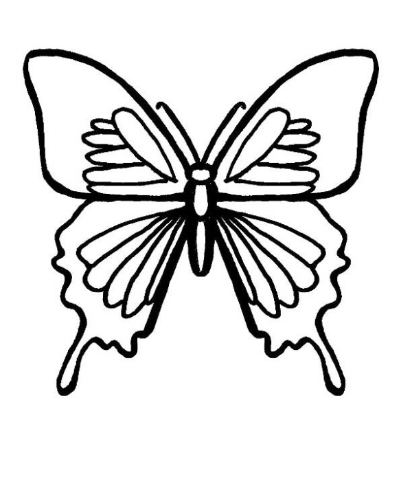 Traceable Flower Patterns