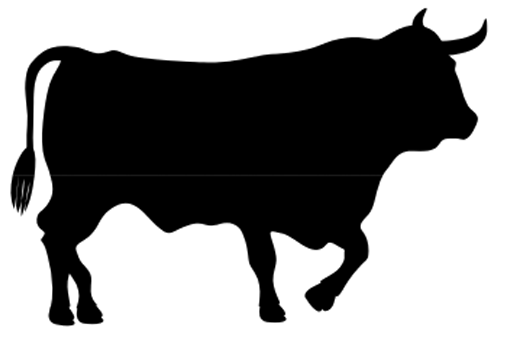 Show steer clip art