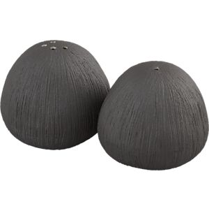Set of 2 Harrison Salt and Pepper Shakers in Salt &amp; Pepper | Crate ...