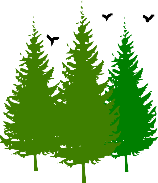 3 Pinetrees With Birds clip art - vector clip art online, royalty ...