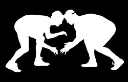 Folkstyle / Colligiate Style - BeniciaWrestling.