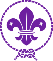fleur-de-lis: Definition from Answers.